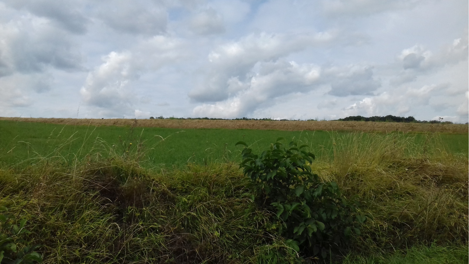 Terrain constructible de 2340m2 à Oyré