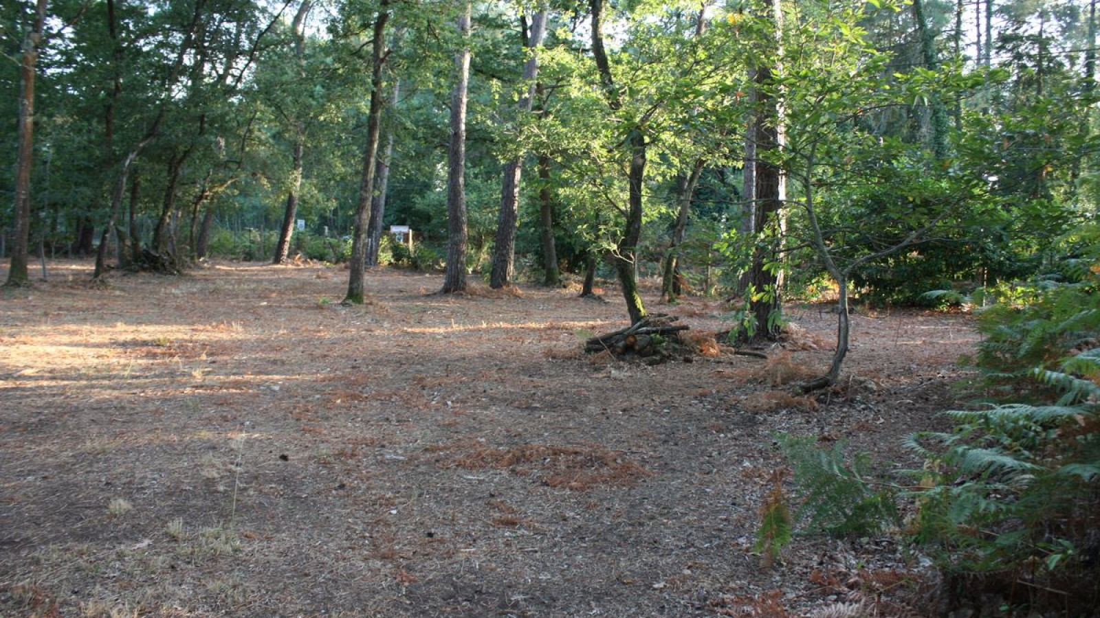 Terrain constructible de 1500m2 à Saint-Benoît-la-Forêt