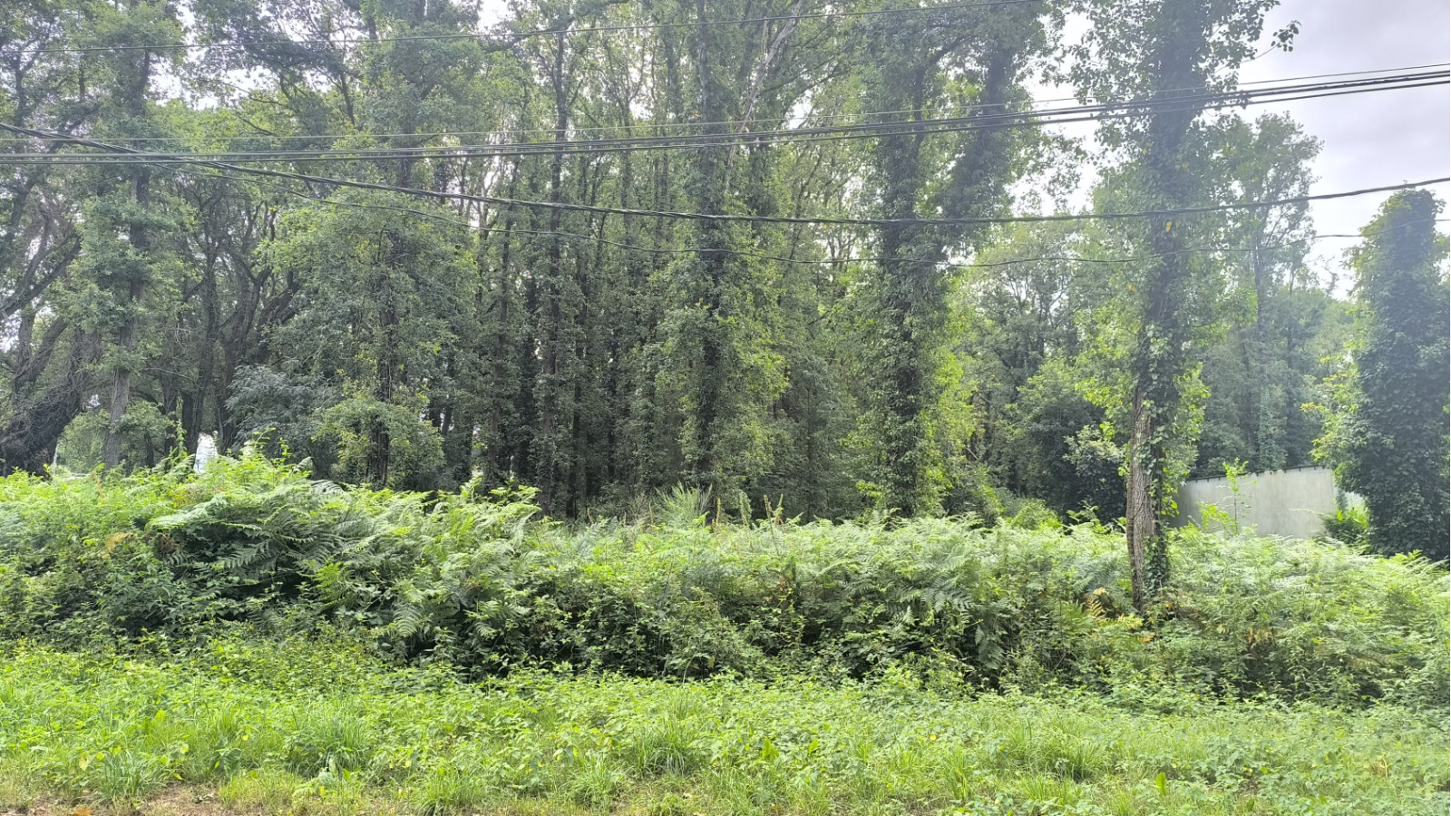 Terrain constructible de 1100m2 à Fégréac