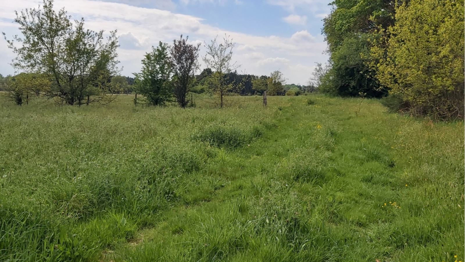 Terrain constructible de 920m2 à La Chapelle-des-Marais