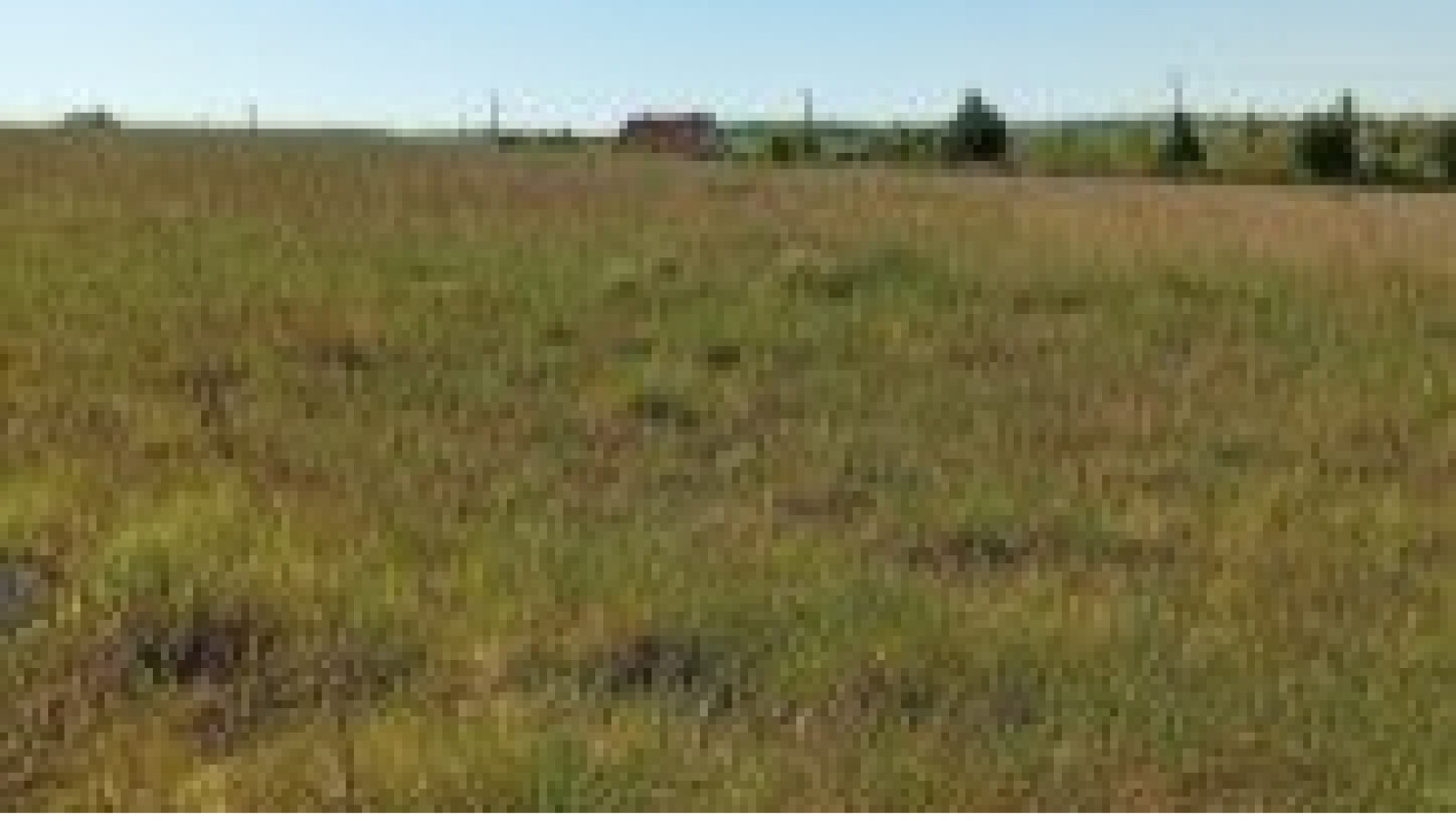 Terrain constructible de 1184m2 à Chevannes