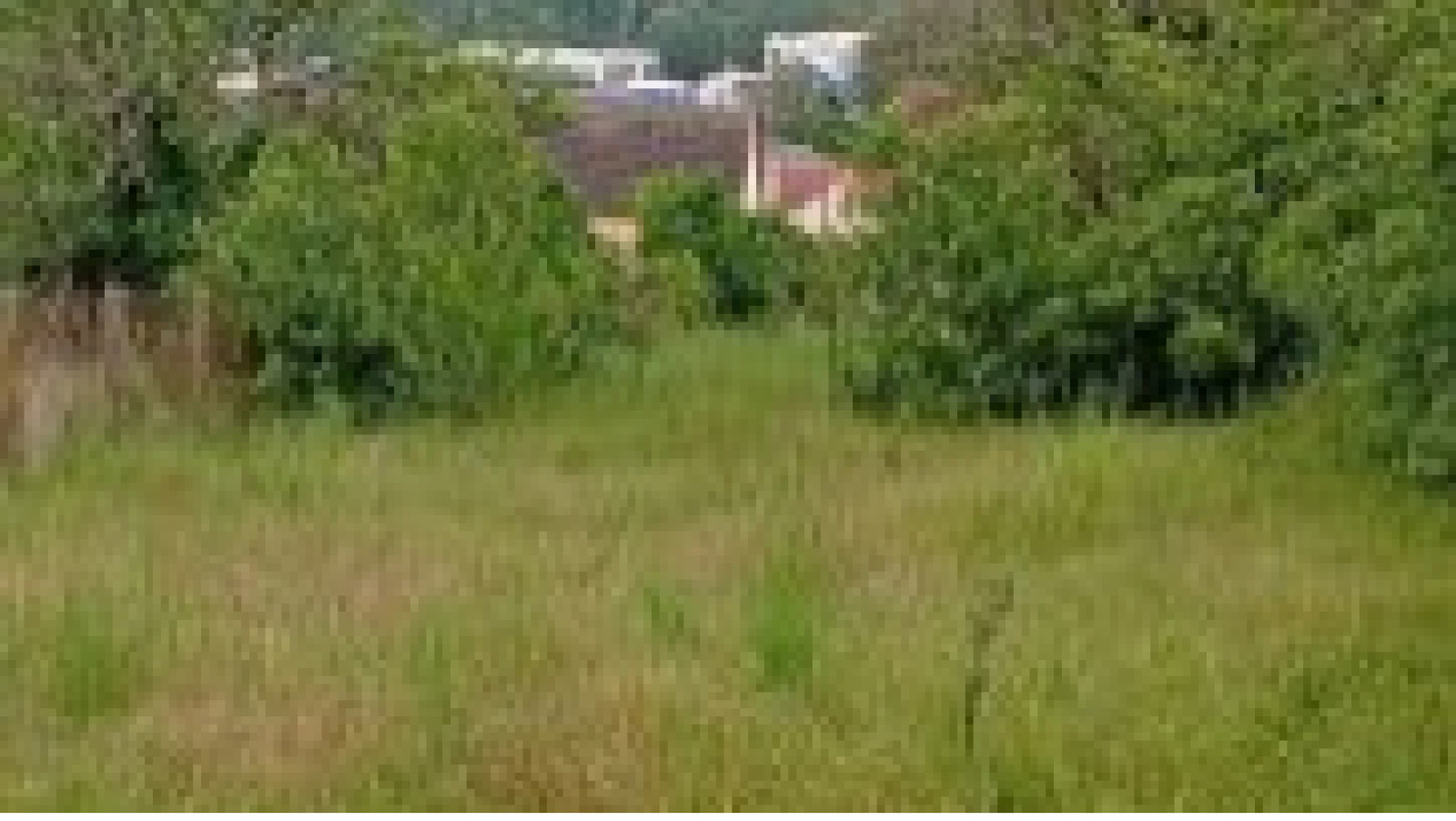 Terrain constructible de 1130m2 à Auxerre
