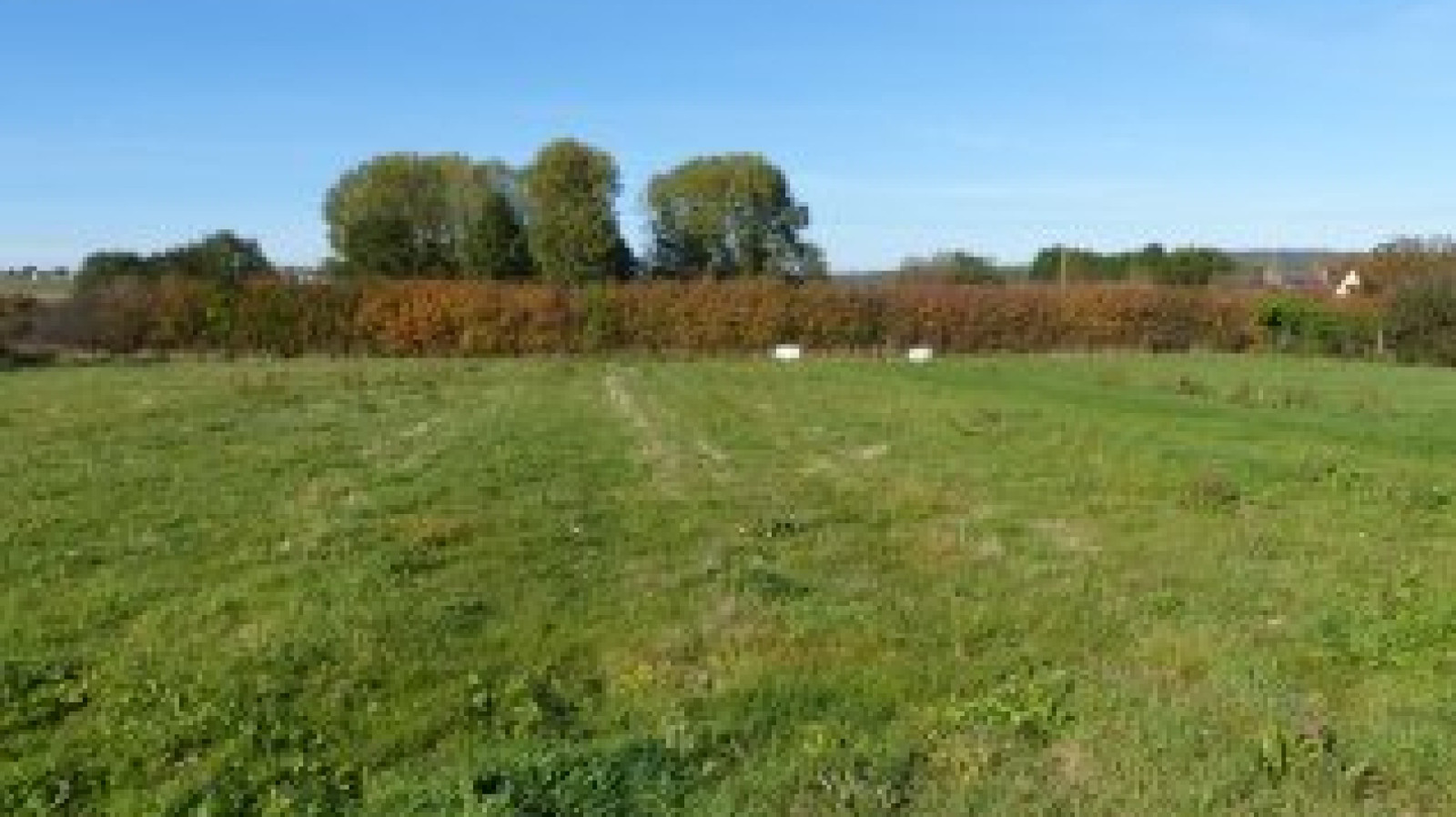 Terrain constructible de 990m2 à Monéteau