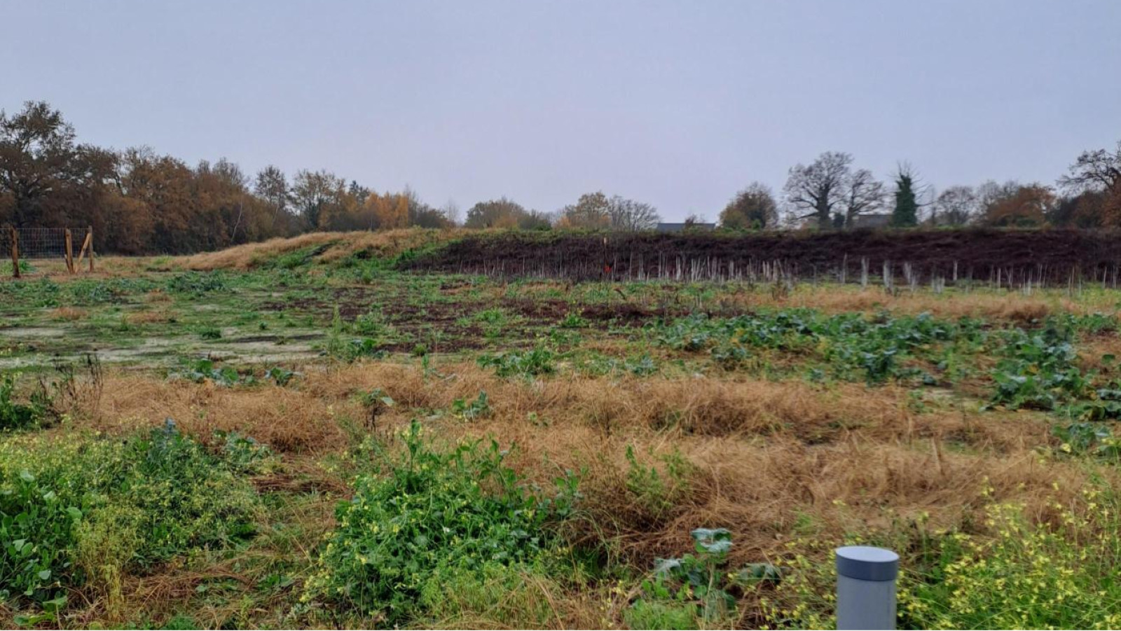 Terrain constructible de 404m2 à Segré-en-Anjou Bleu