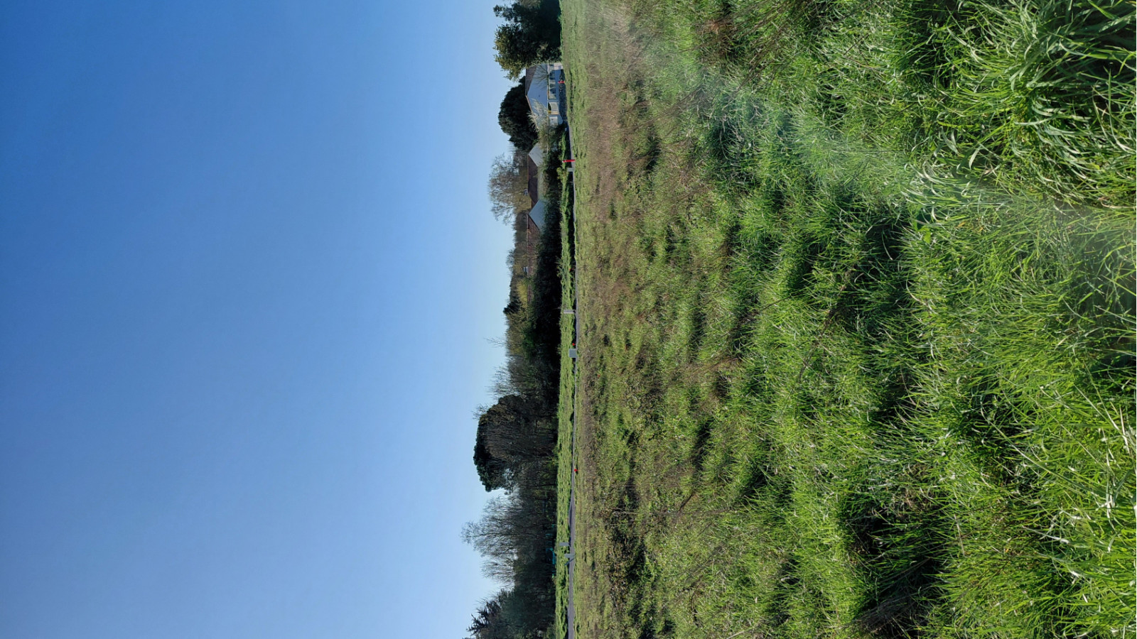 Terrain constructible de 427m2 à Saint-Hilaire-la-Forêt