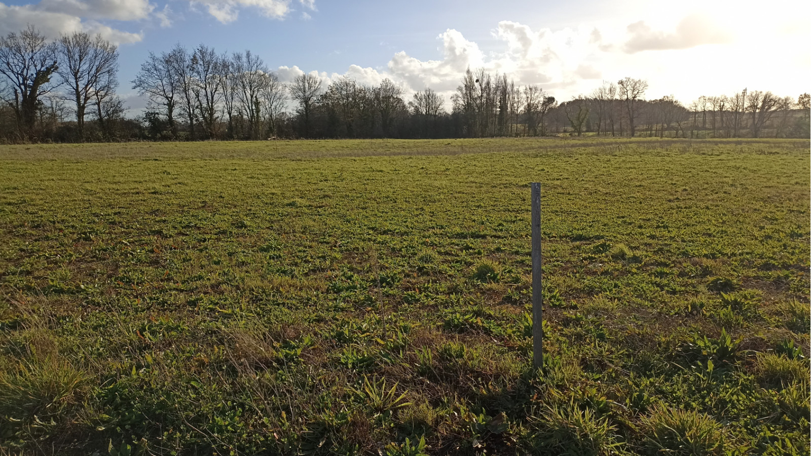 Terrain constructible de 364m2 à La Garnache