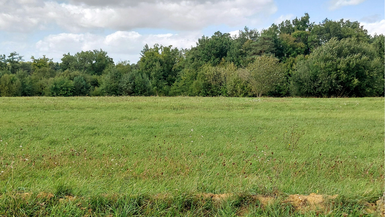 Terrain constructible de 560m2 à Veigné