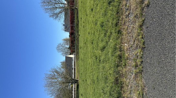 Lot 25 daumeray.jpg