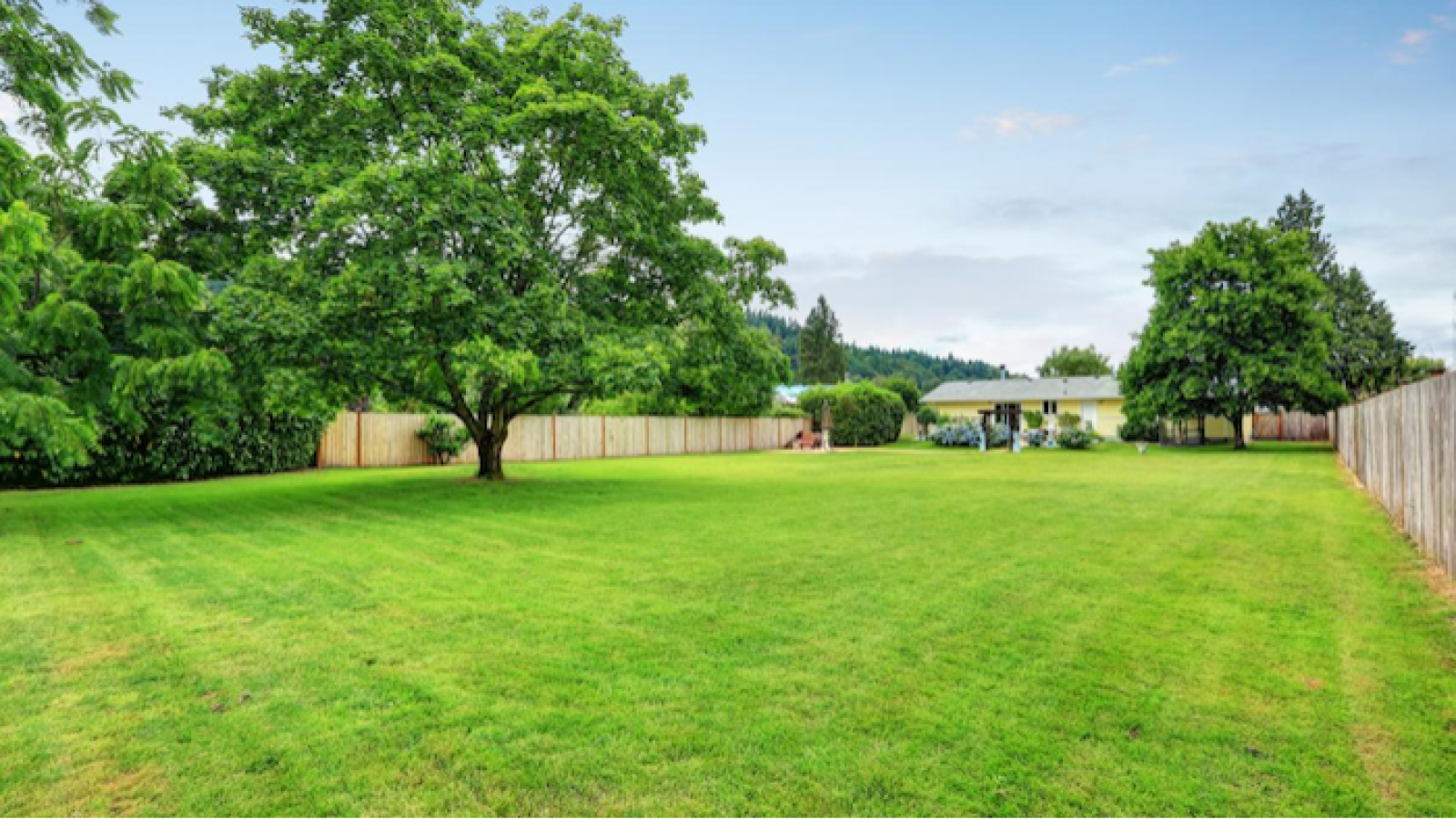 Terrain constructible de 1350m2 à Saint-Aubin-de-Blaye