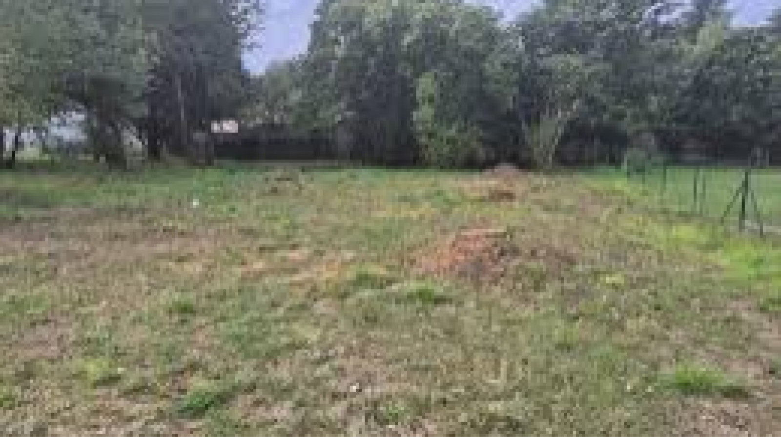 Terrain constructible de 1650m2 à Montlouis-sur-Loire