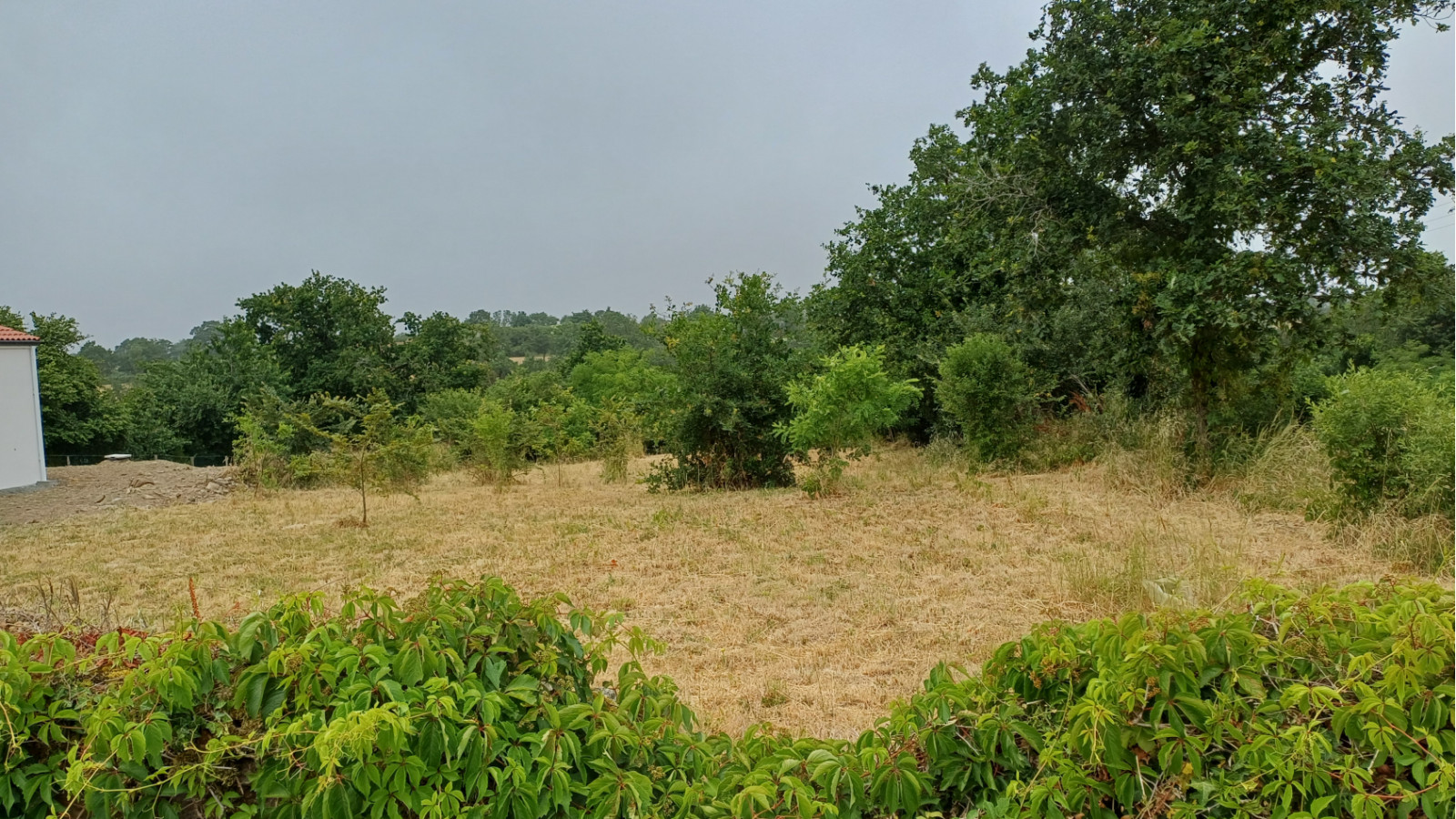 Terrain constructible de 420m2 à Nesmy
