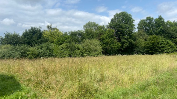 image5(15).jpeg