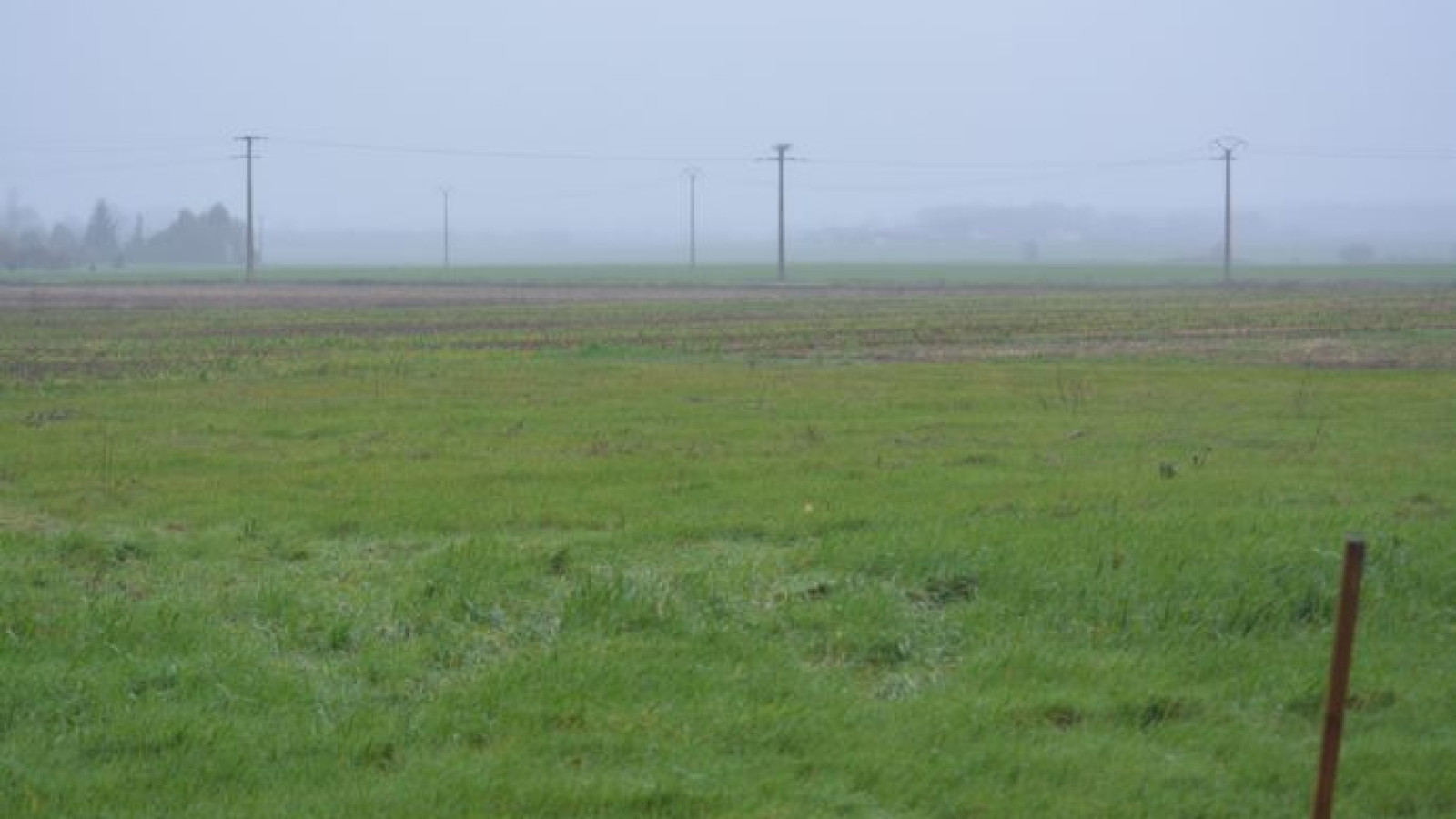 Terrain constructible de 1579m2 à Champigny-sur-Veude