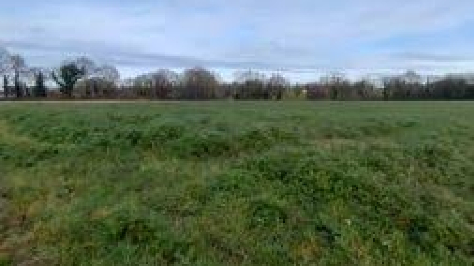 Terrain constructible de 574m2 à Sainte-Florence