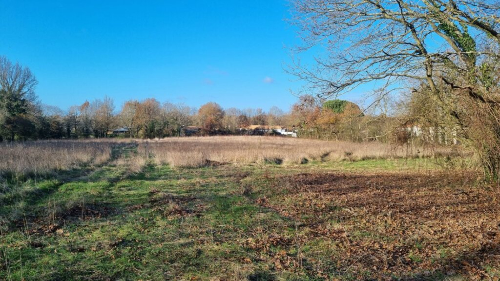 Terrain constructible de 315m2 à Chantonnay