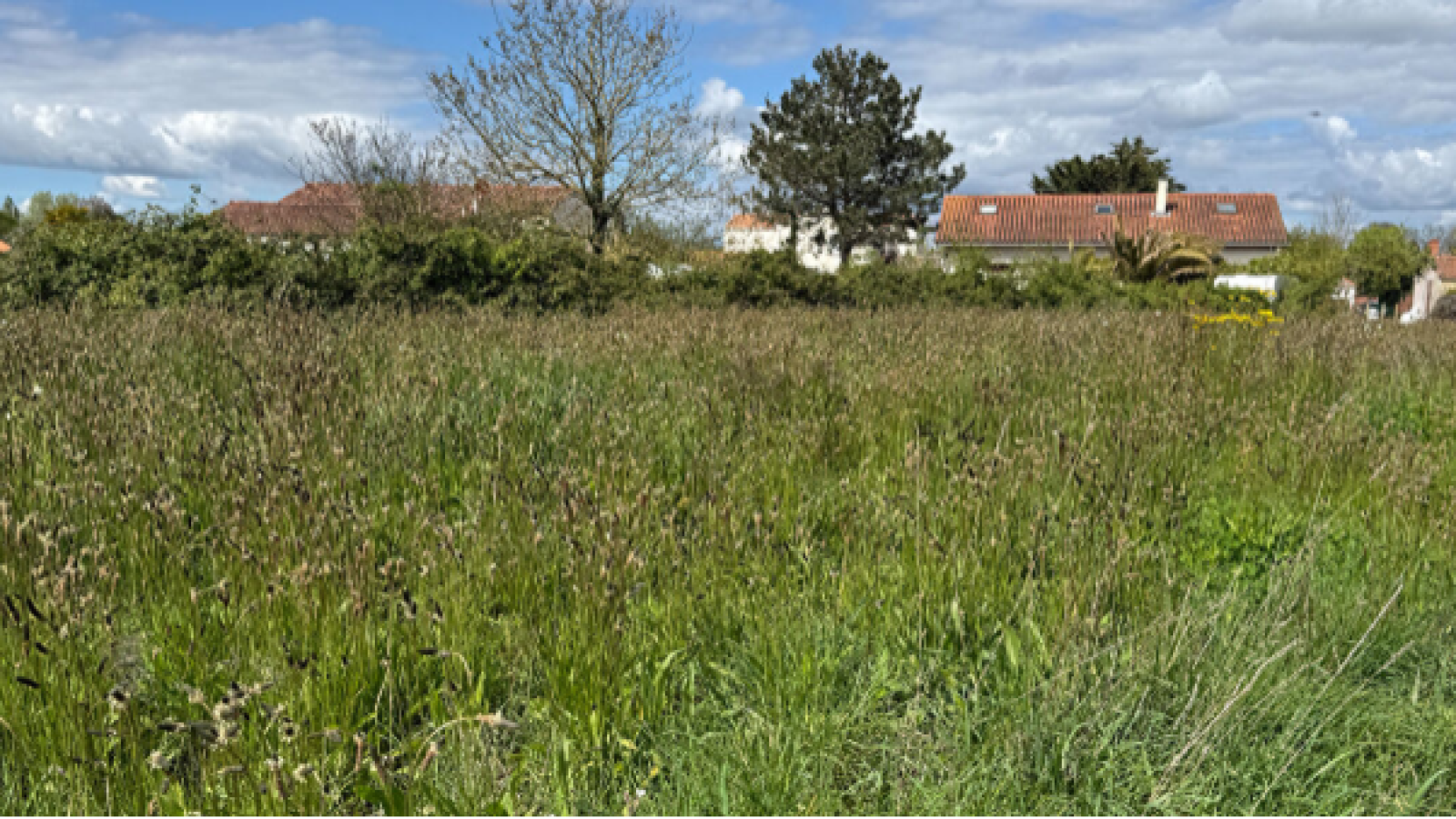 Terrain constructible de 1320m2 à La Roche-sur-Yon