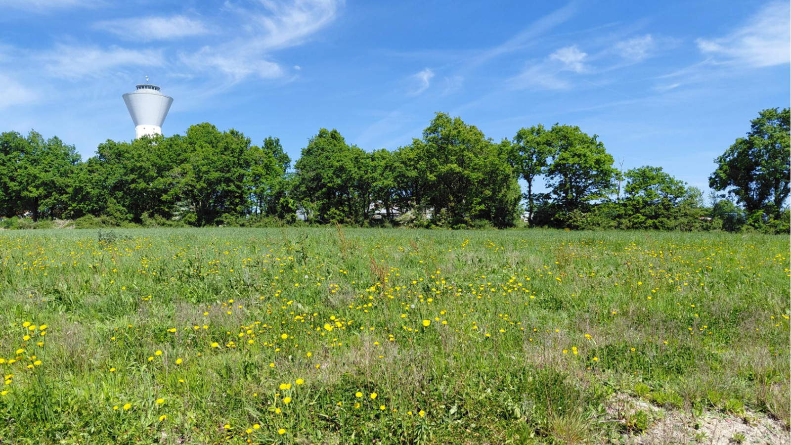 Terrain constructible de 377m2 à Saint-Hilaire-la-Forêt