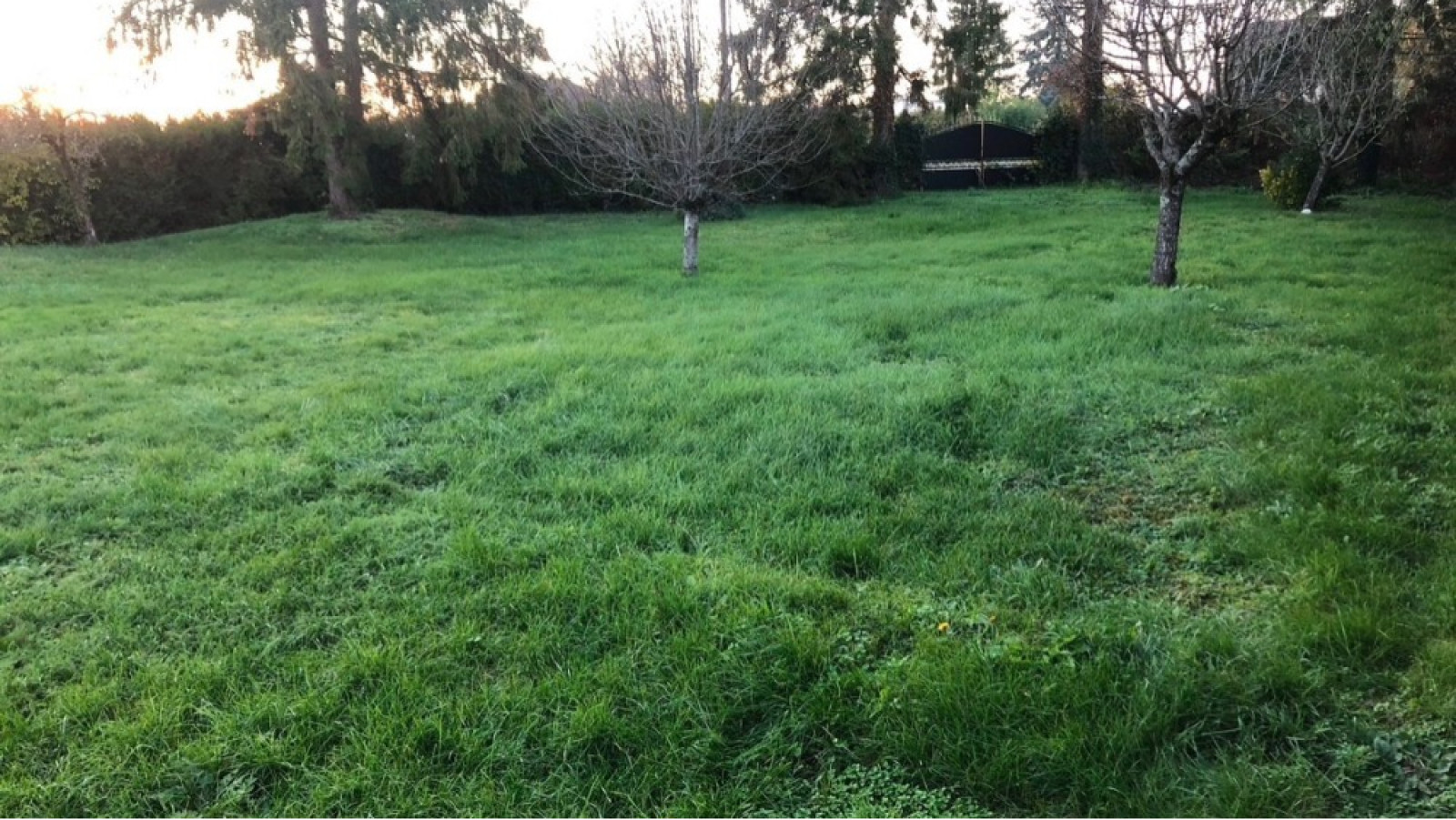 Terrain constructible de 750m2 à Fénay