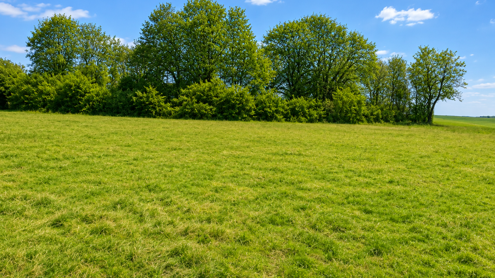 Terrain constructible de 583m2 à Pasques