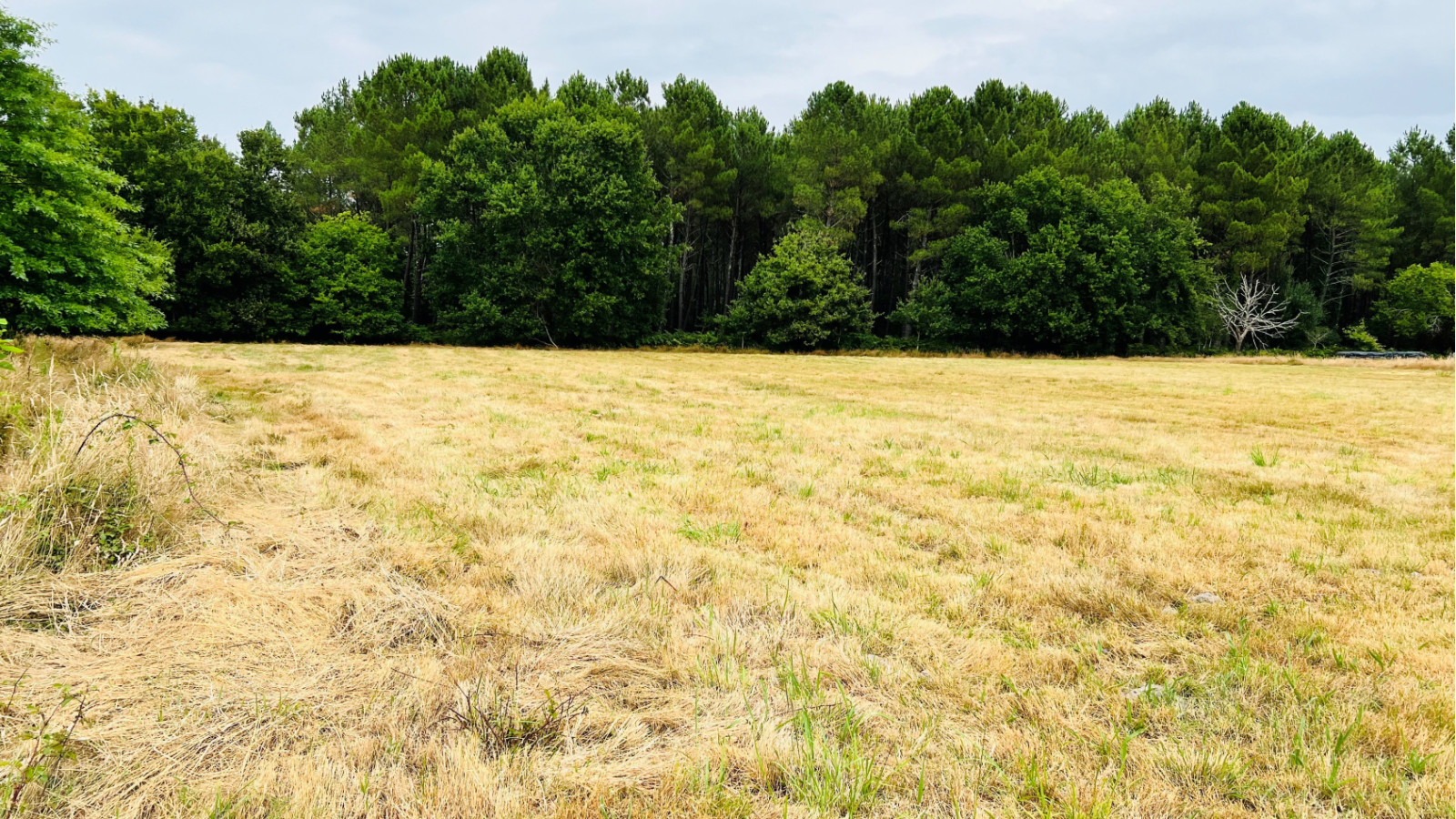 Terrain constructible de 511m2 à Aureilhan