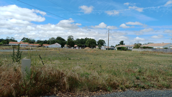 20260601_152446.jpg