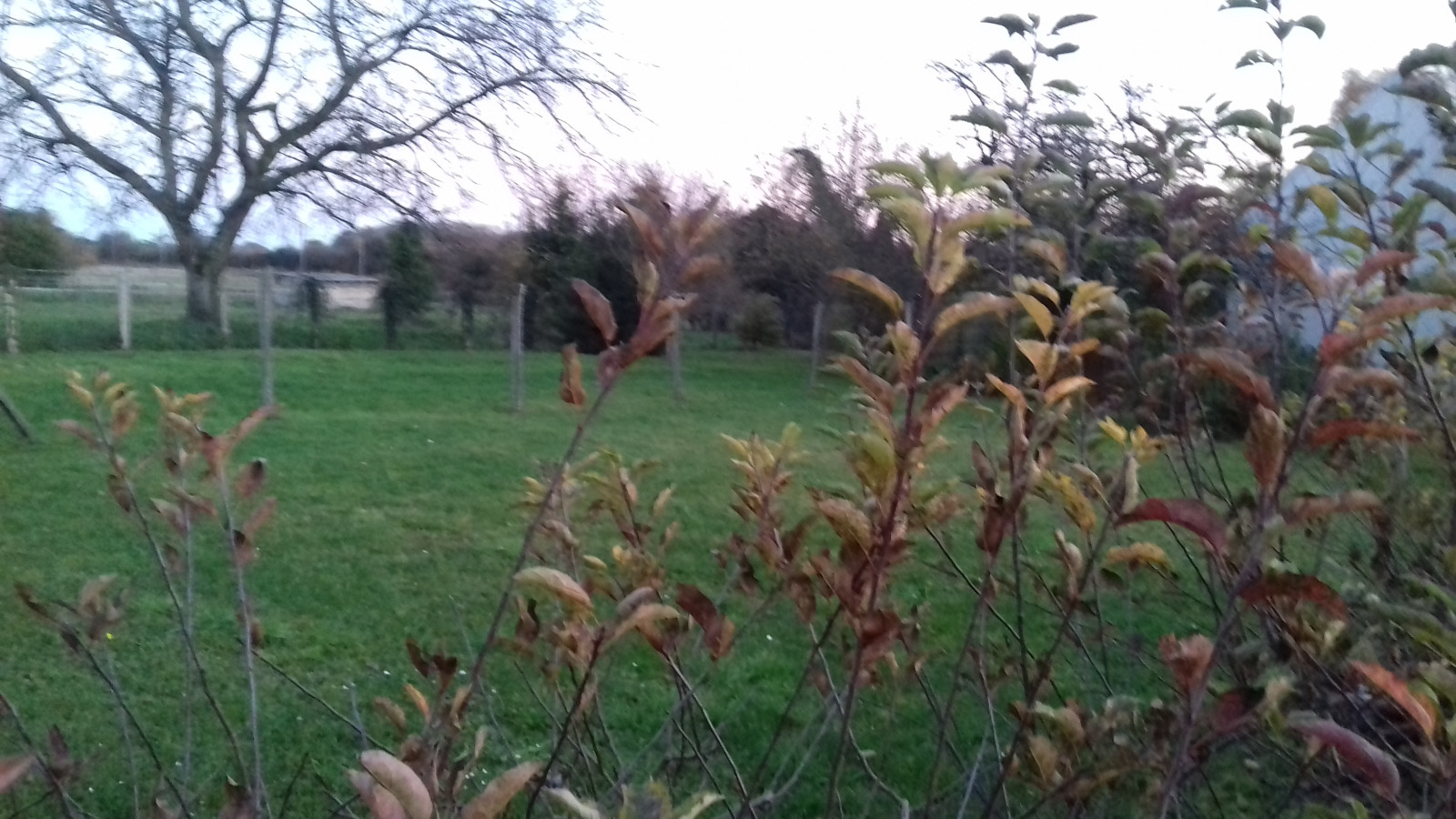 Terrain constructible de 900m2 à Beaune-la-Rolande