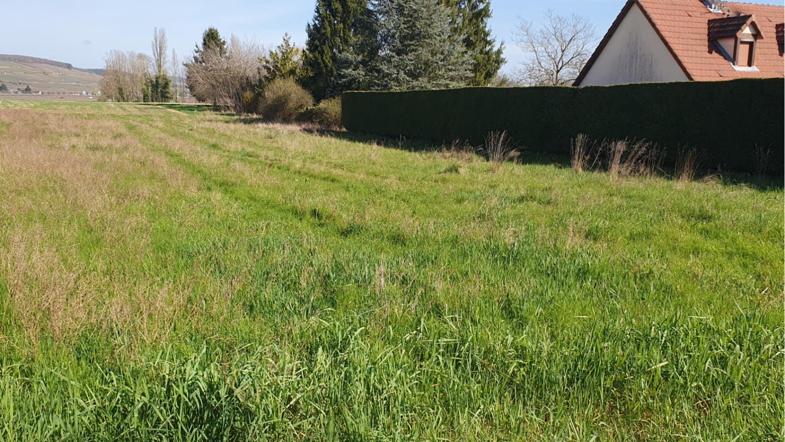 Terrain constructible de 600m2 à Chorey-les-Beaune