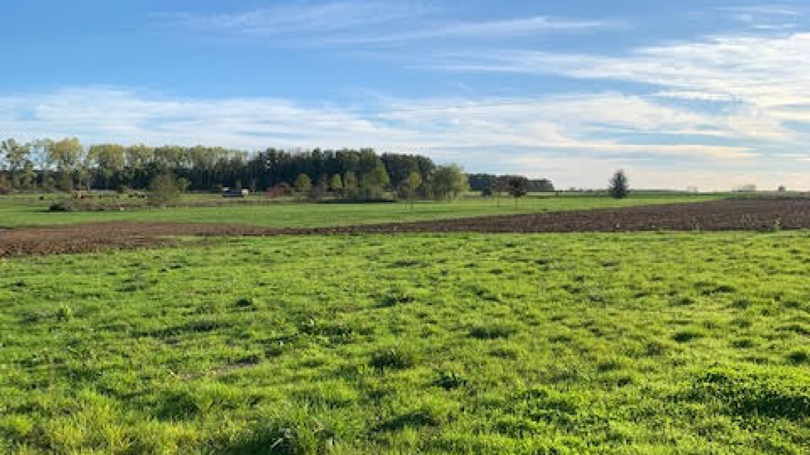 Terrain constructible de 1640m2 à Meursanges