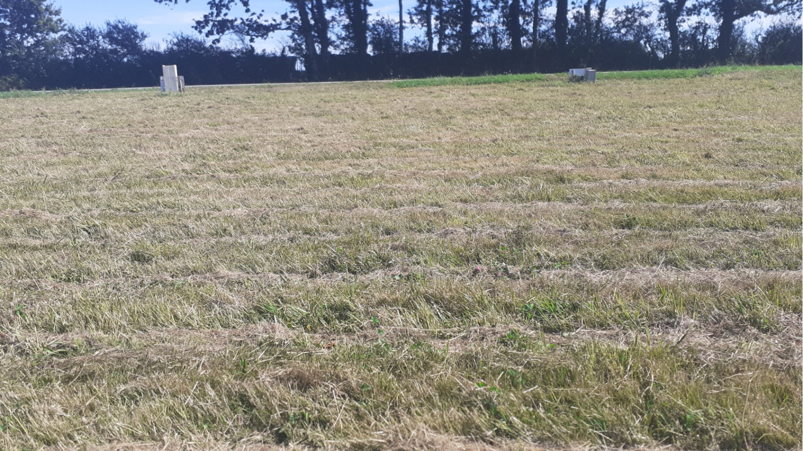 Terrain constructible de 2100m2 à Missillac