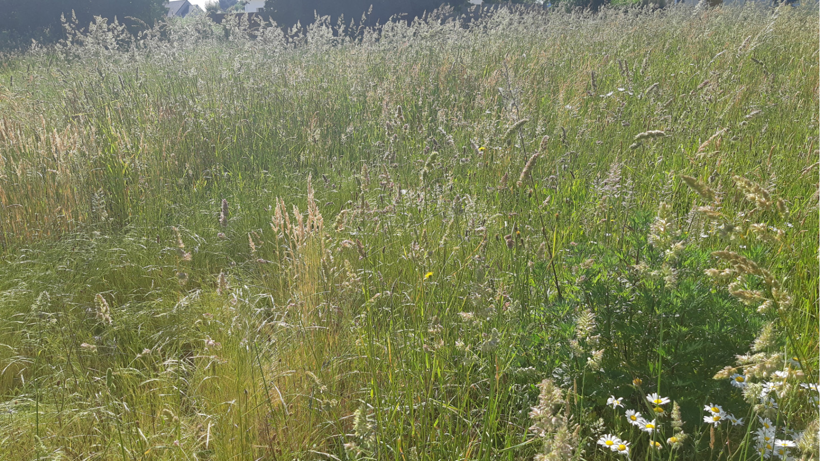 Terrain constructible de 710m2 à Crossac