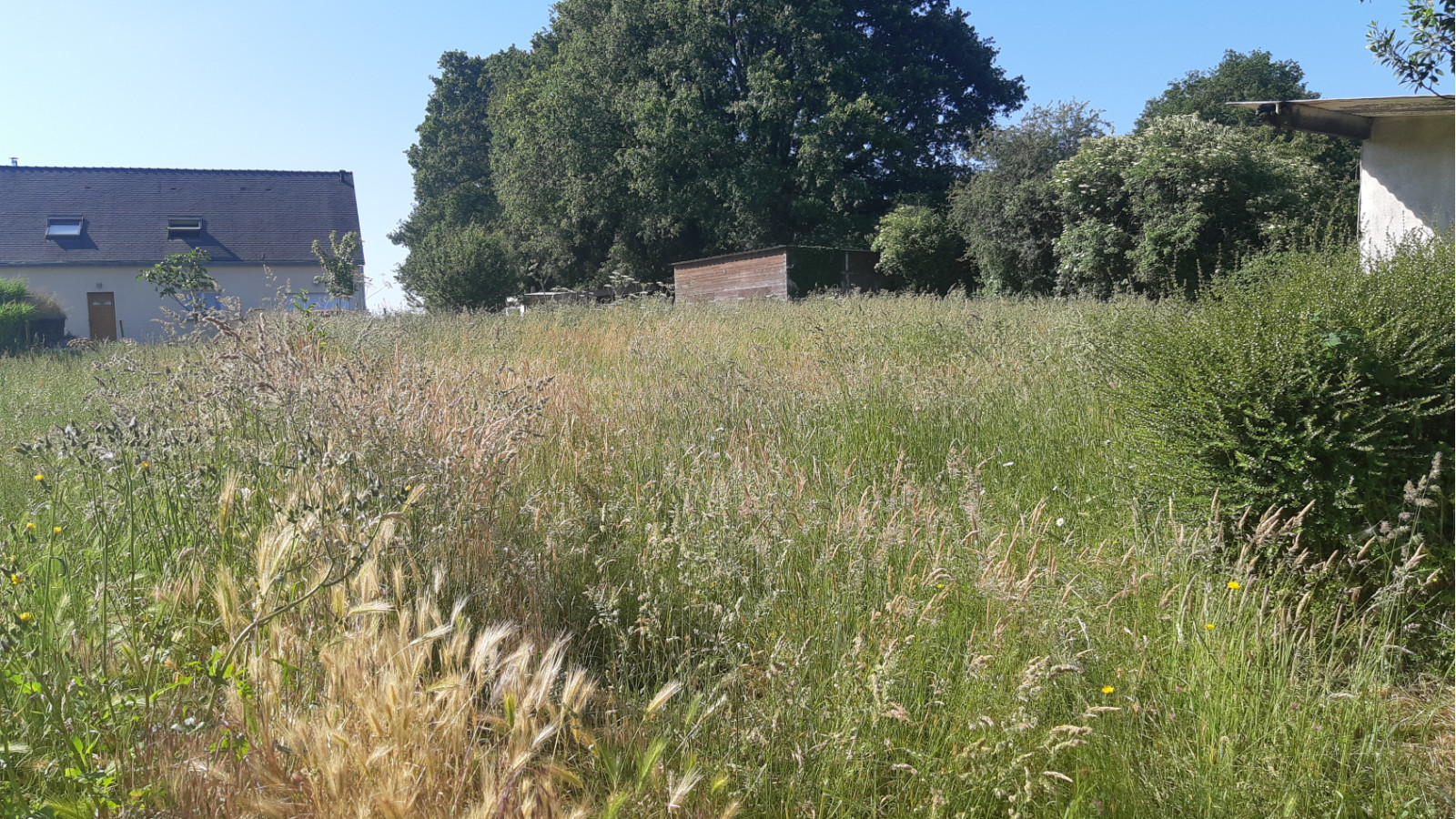 Terrain constructible de 760m2 à Sainte-Anne-sur-Brivet