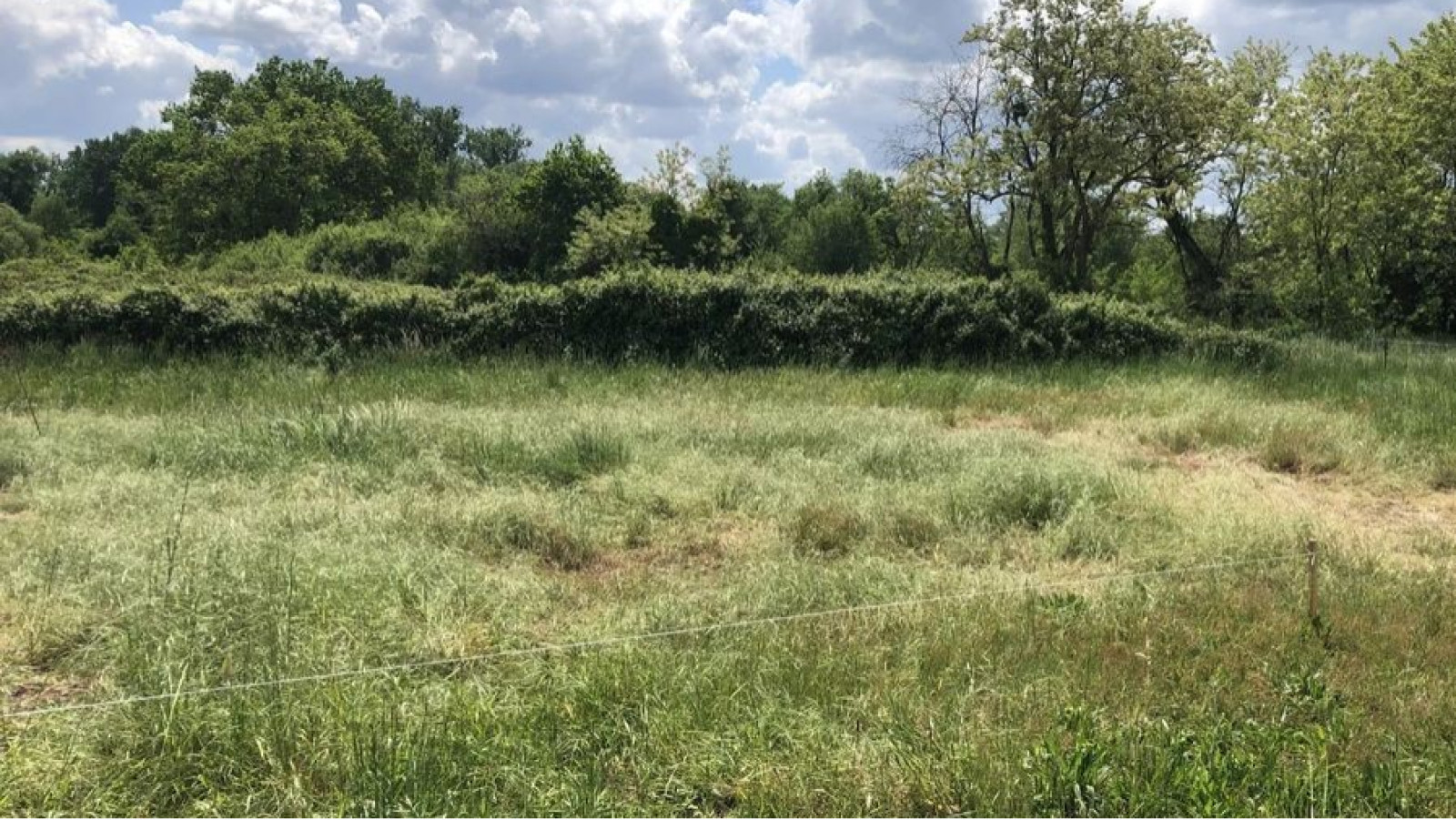 Terrain constructible de 550m2 à Toulenne