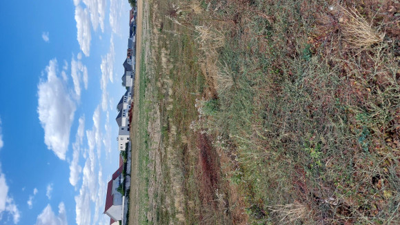 20260806_171600.jpg