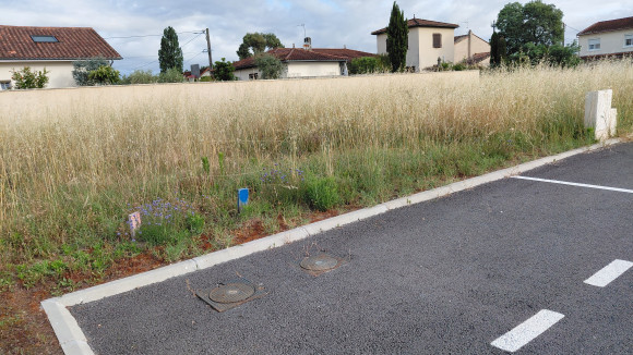 Libourne.jpg