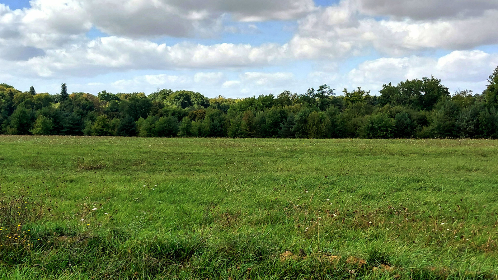 Terrain constructible de 428m2 à Mettray