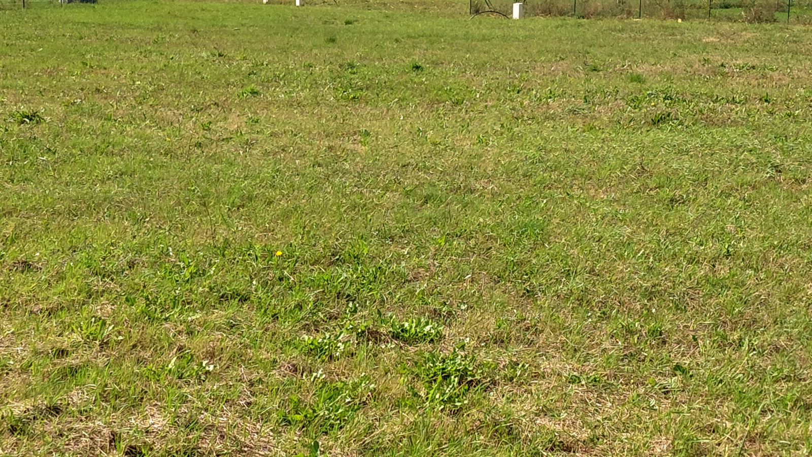 Terrain constructible de 533m2 à Tauxigny-Saint-Bauld