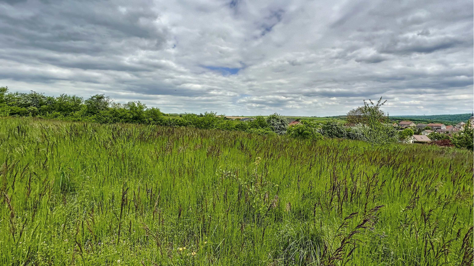 Terrain constructible de 1505m2 à Francheville