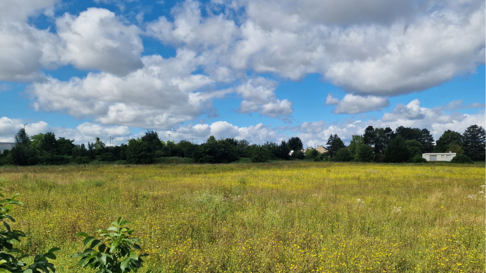 Terrain constructible de 430m2 à Saint-Apollinaire