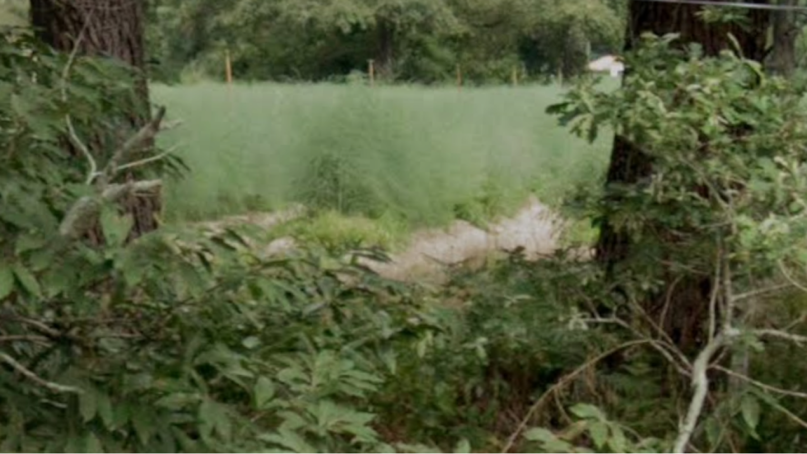 Terrain constructible de 969m2 à Soustons
