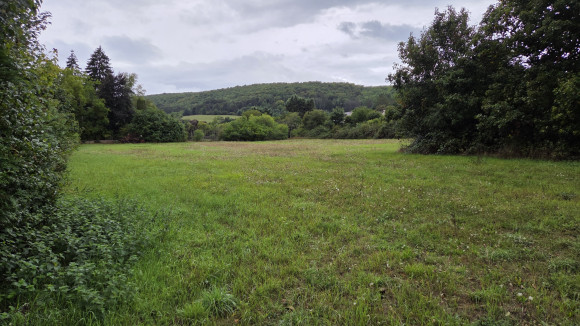 Terrain Gissey sur ouche.jpg