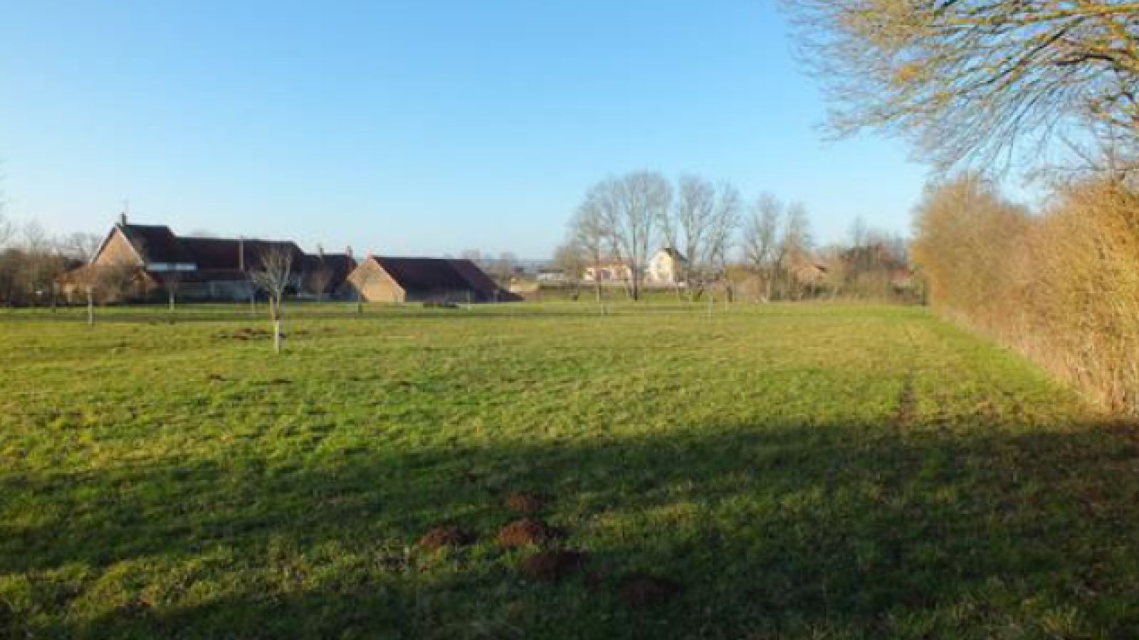 Terrain constructible de 5990m2 à Musigny