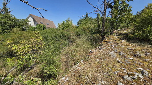 Terrain Marc d'or.jpg