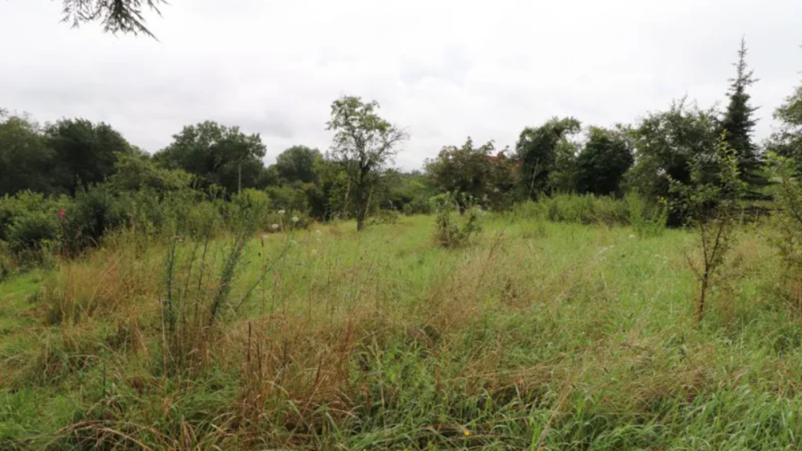 Terrain constructible de 3224m2 à Pontailler-sur-Saône