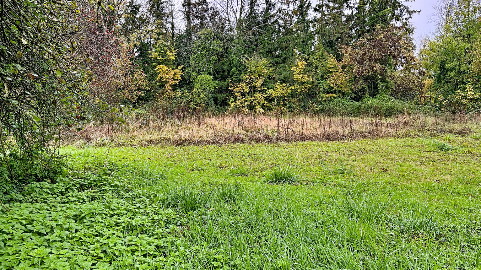 Terrain constructible de 976m2 à Izeure