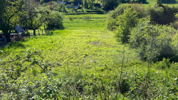 Photo terrain Gemeau (agence LAFORET).png