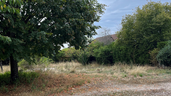 Photo terrain.jpg