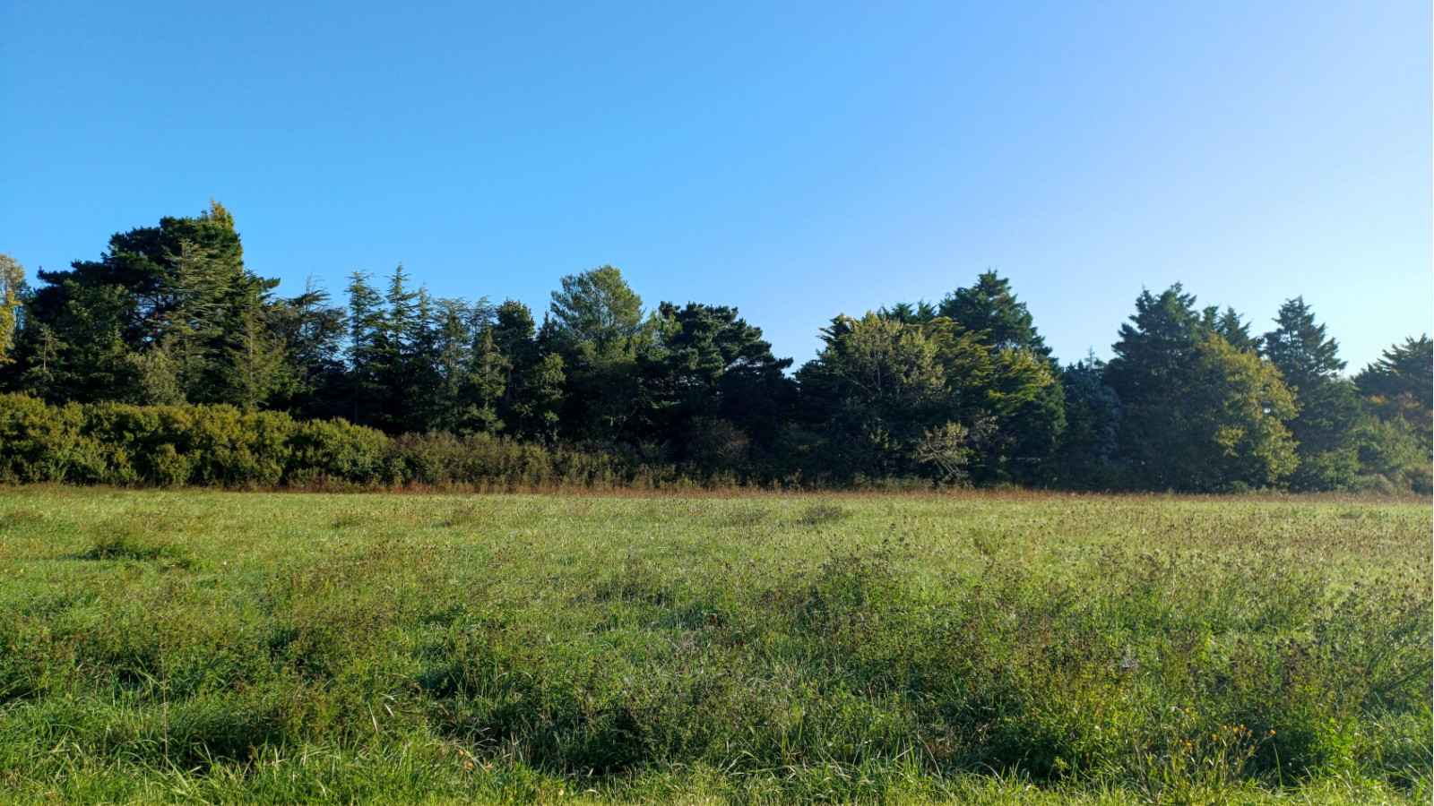 Terrain constructible de 637m2 à Beauvoir-sur-Mer