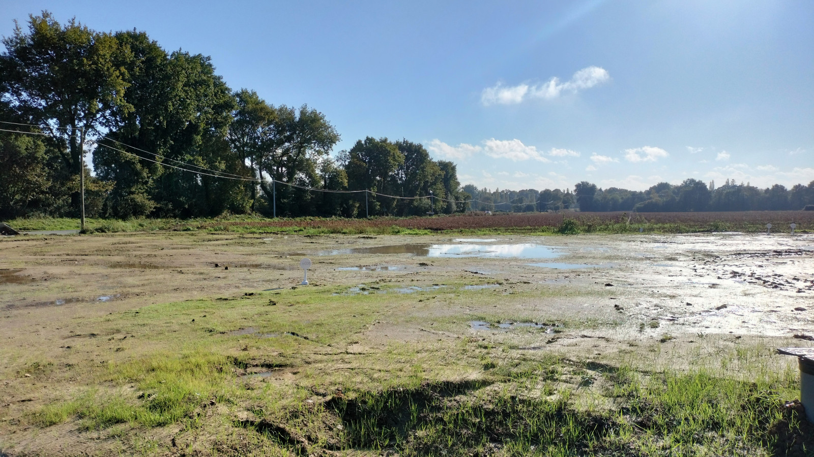 Terrain constructible de 337m2 à Andouillé-Neuville