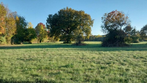 St Médard de Guizières 2.jpg