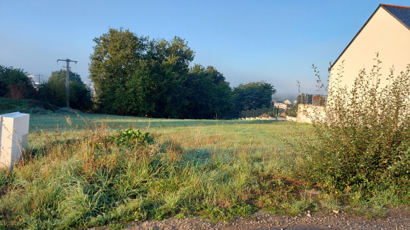 LOT 15.jpg